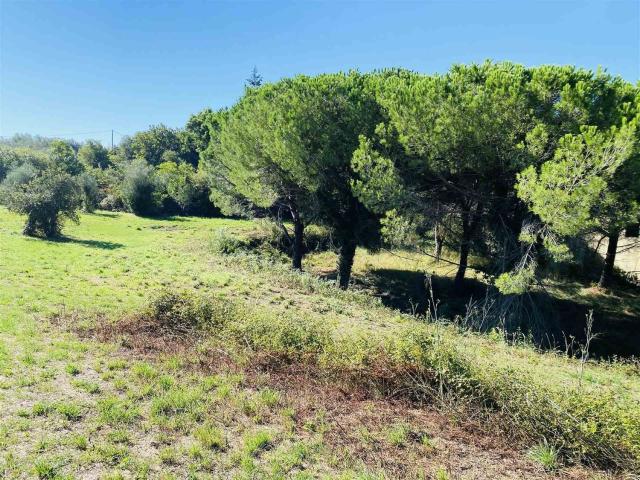 Rustico in vendita a San Giuliano Terme, Toscana