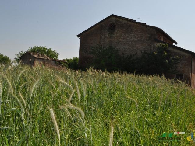 Rustico in vendita a Borgonovo, Palasone