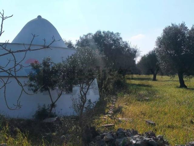 Rustico in vendita a Puglia, Brindisi