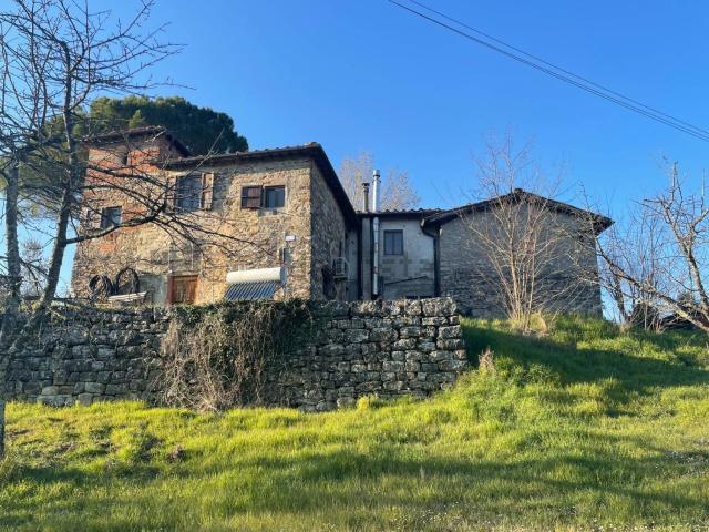 Rustico in vendita a Unione di Comuni Valdarno e Valdisieve, Pelago