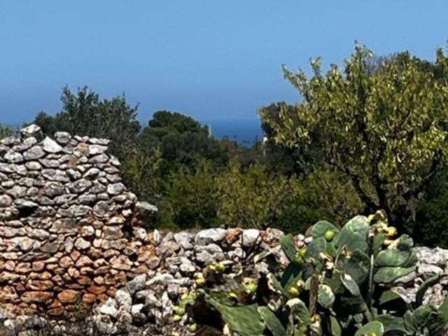 Rustico in vendita a Puglia, Brindisi