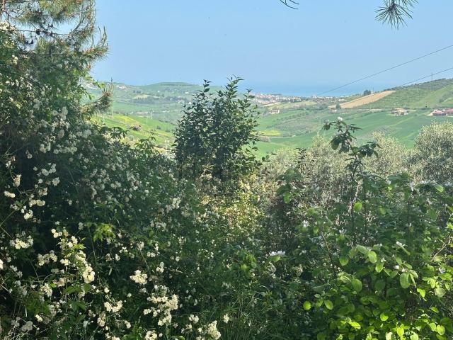 Rustico in vendita a Atri, Abruzzo