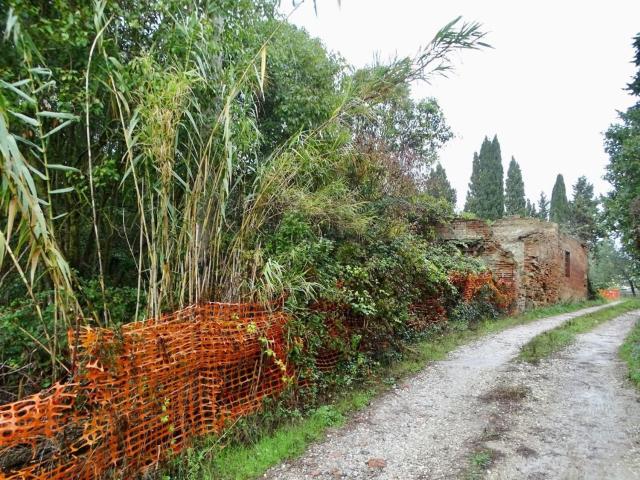 Rustico in vendita a Marzana, San Miniato