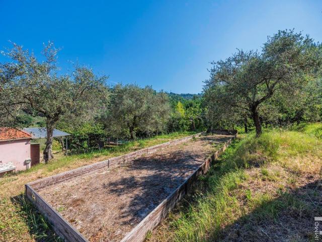 Rustico in vendita a Unione di comuni Montana Lunigiana, Fosdinovo