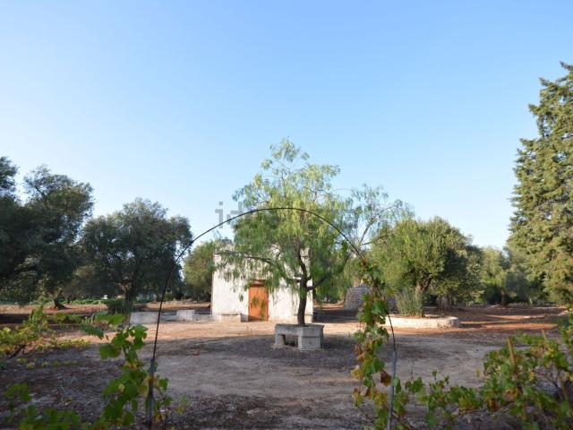 Rustico in vendita a Puglia, Brindisi