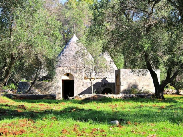 Rustico in vendita a Puglia, Brindisi