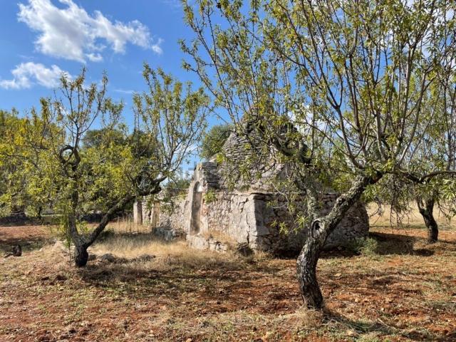 Rustico in vendita a Puglia, Brindisi