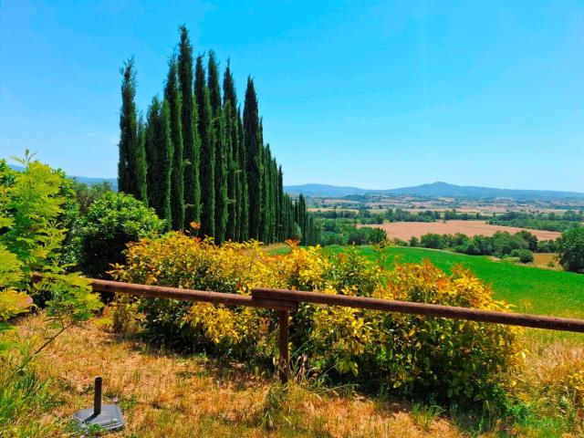 Rustico in vendita a Campagnatico, Toscana