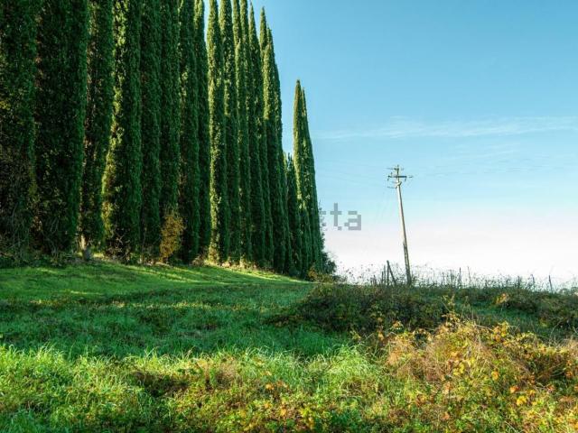 Rustico in vendita a La Scala, San Miniato