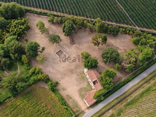 Rustico in vendita a Coriano, Albaredo d'Adige