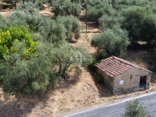 Rustico in vendita a Perinaldo, Liguria