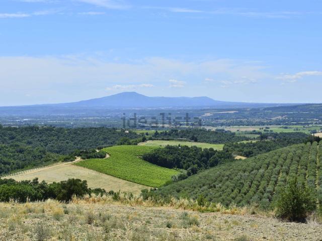 Rustico in vendita a Baschi, Umbria