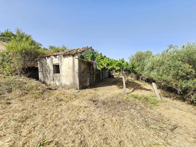 Rustico in vendita a Collesano, Sicilia