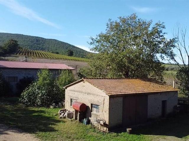 Rustico in vendita a Capalbio, Toscana
