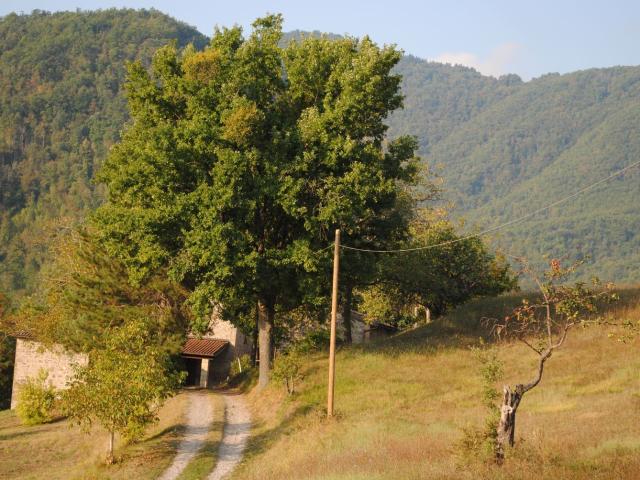 Rustico in vendita a Unione dell'Appennino Bolognese, Castel D'aiano