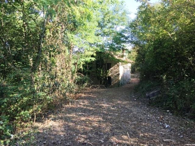 Rustico in vendita a Unione di comuni Terre di Castelli, Guiglia