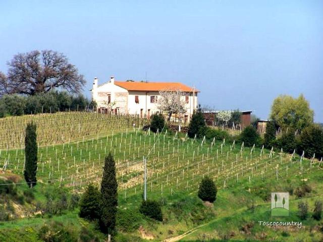 Rustico in vendita a Terricciola, Toscana