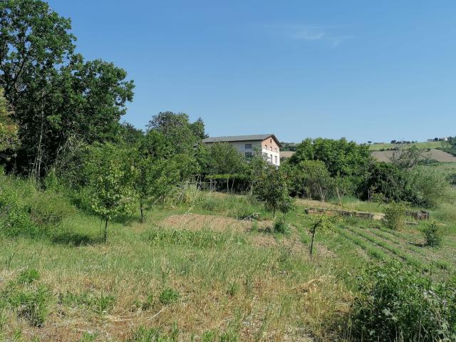 Rustico in vendita a Marche, Ancona