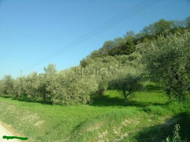 Rustico in vendita a Marche, Fermo