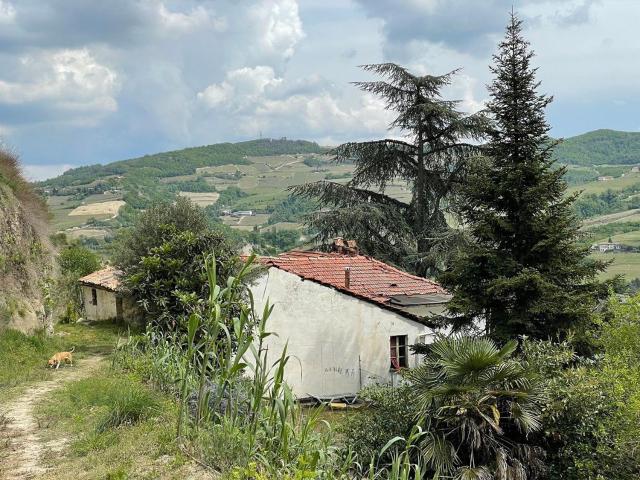 Rustico in vendita a Piemonte, Cuneo