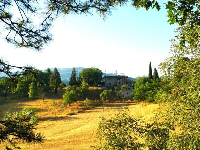Rustico in vendita a Montazzi, Borgo San Lorenzo