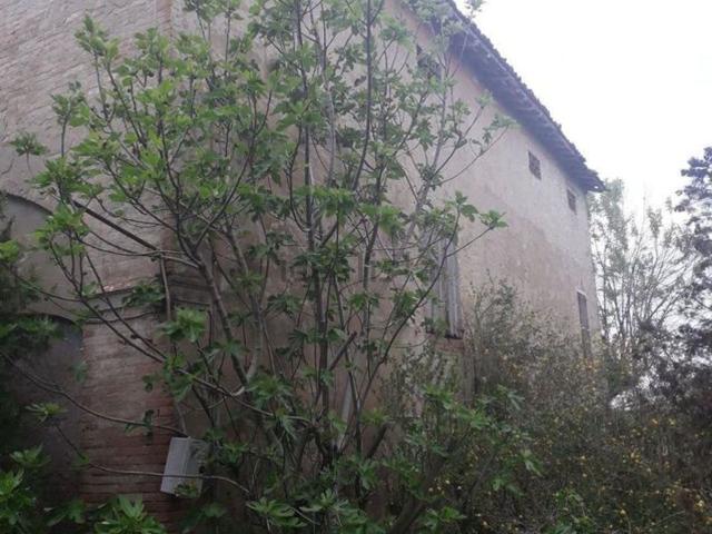 Rustico in vendita a Colline Matildiche, Re