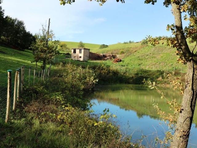 Rustico in vendita a Unione di comuni Terre di Castelli, Castelvetro Di Modena