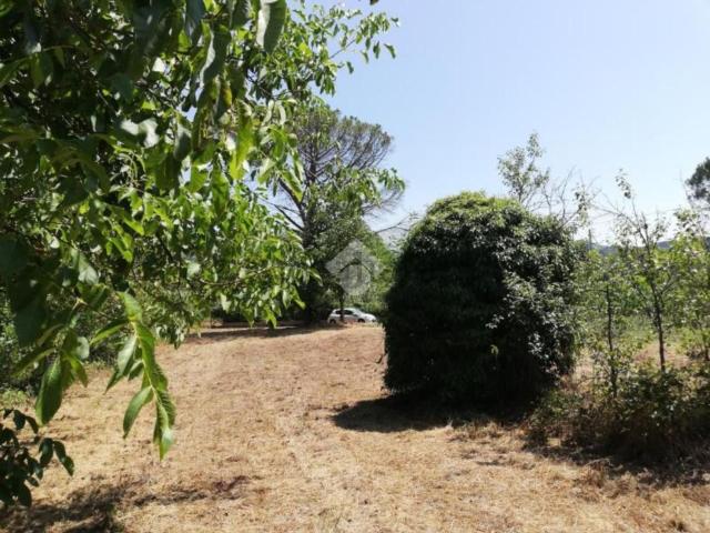 Rustico in vendita a Roma Capitale, Lazio