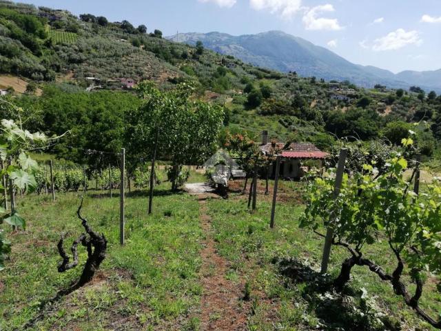 Rustico in vendita a Roma Capitale, Lazio