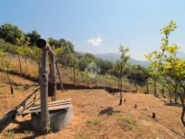 Rustico in vendita a Torraca, Salerno