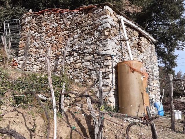Rustico in vendita a Vernazza, Liguria