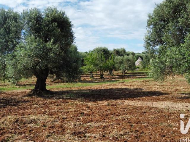 Rustico in vendita a Puglia, Brindisi