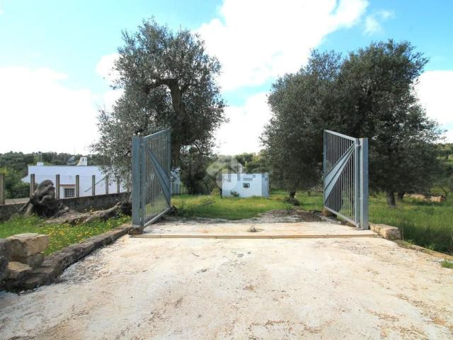 Rustico in vendita a Ostuni, Brindisi