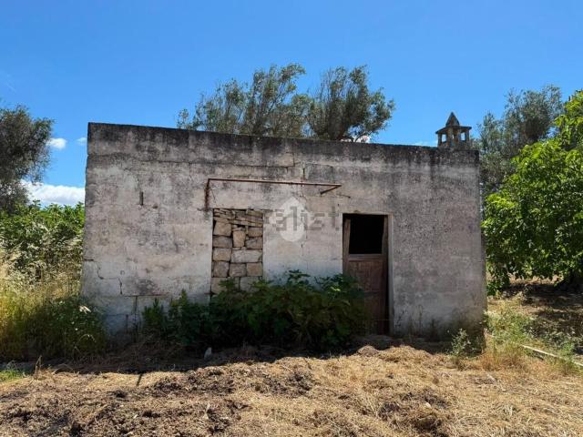 Rustico in vendita a Puglia, Brindisi