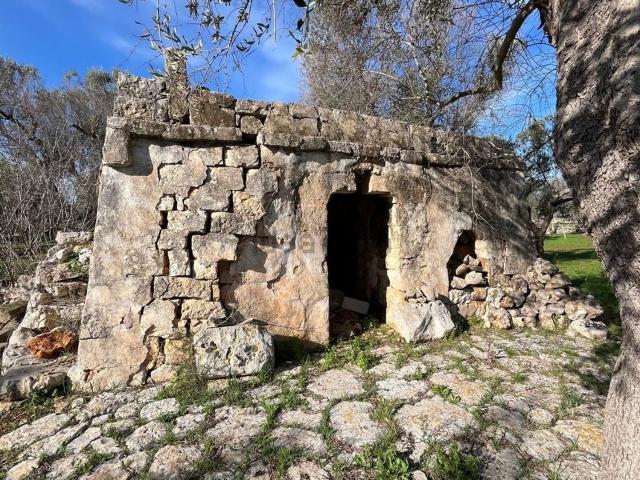 Rustico in vendita a Puglia, Brindisi