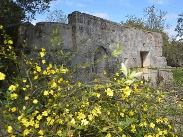 Rustico in vendita a Puglia, Brindisi