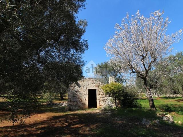 Rustico in vendita a Puglia, Brindisi