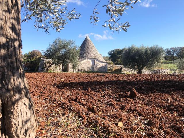 Rustico in vendita a Puglia, Bari