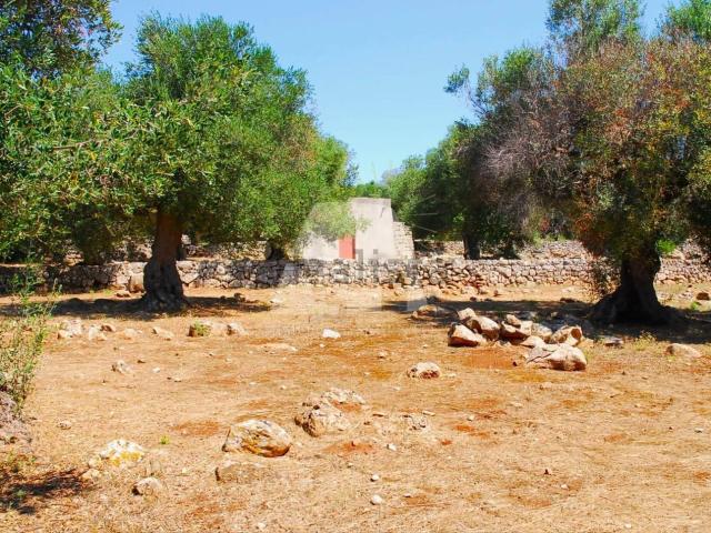 Rustico in vendita a Puglia, Lecce