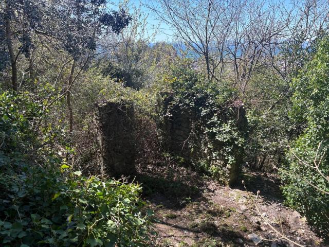 Rustico in vendita a Levante, Serra Riccò