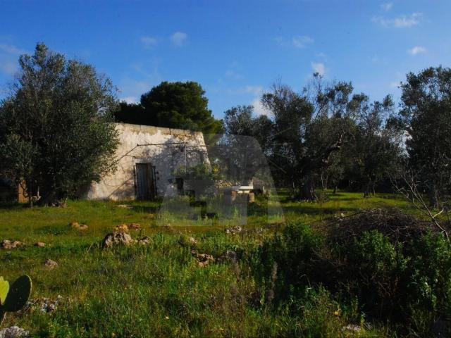 Rustico in vendita a Puglia, Lecce