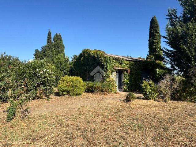 Rustico in vendita a Tuscania, Lazio