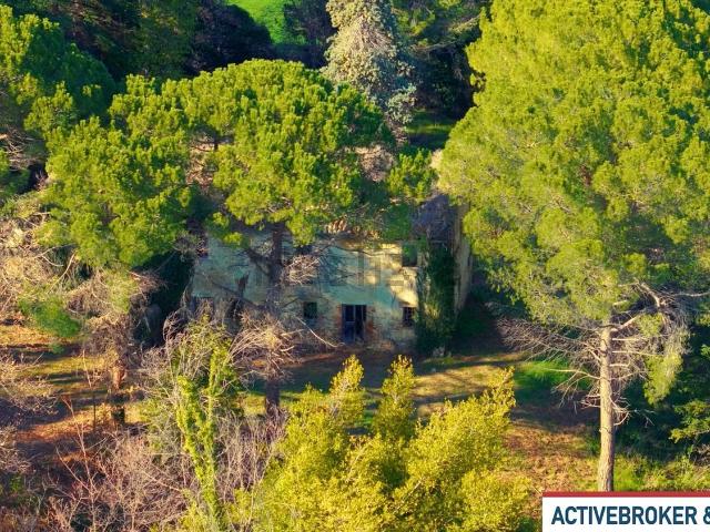 Rustico in vendita a Sala, Marche