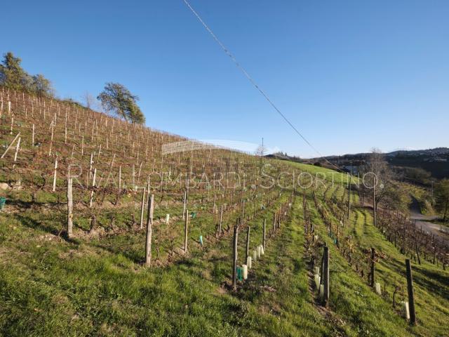 Rustico in vendita a Piemonte, Cuneo