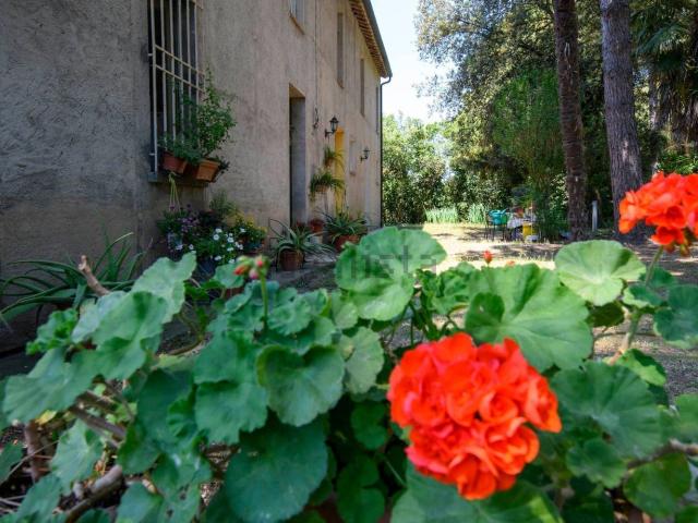 Rustico in vendita a Ravenna, Reggio Emilia