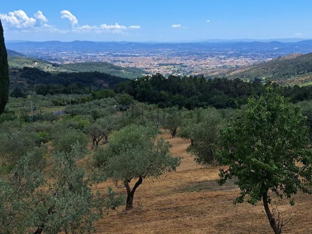 Rustico in vendita a Prato, Figline