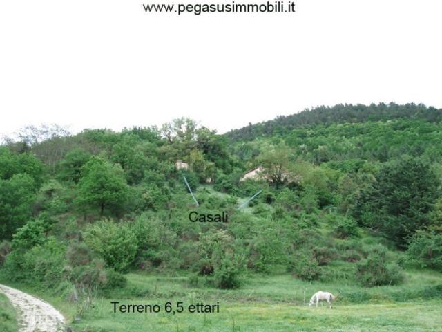 Rustico in vendita a Marche, Pesaro E Urbino