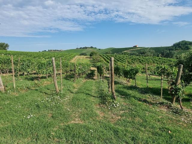 Rustico in vendita a Piemonte, Asti