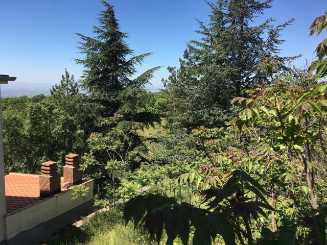 Rustico in vendita a Belpasso, Sicilia