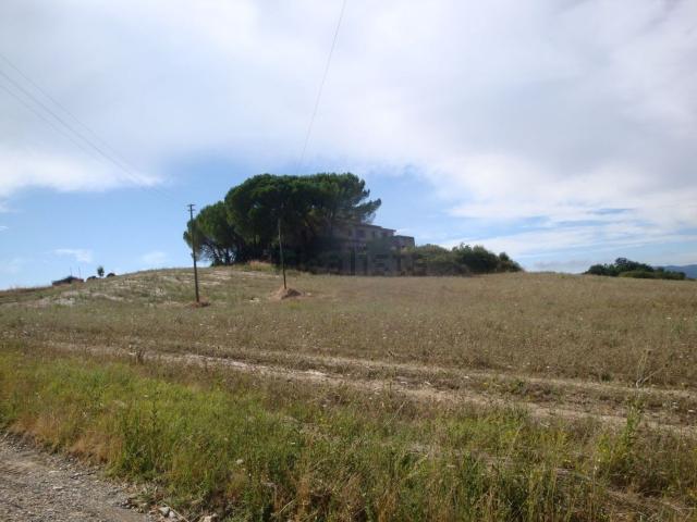 Rustico in vendita a Bibbona, Toscana